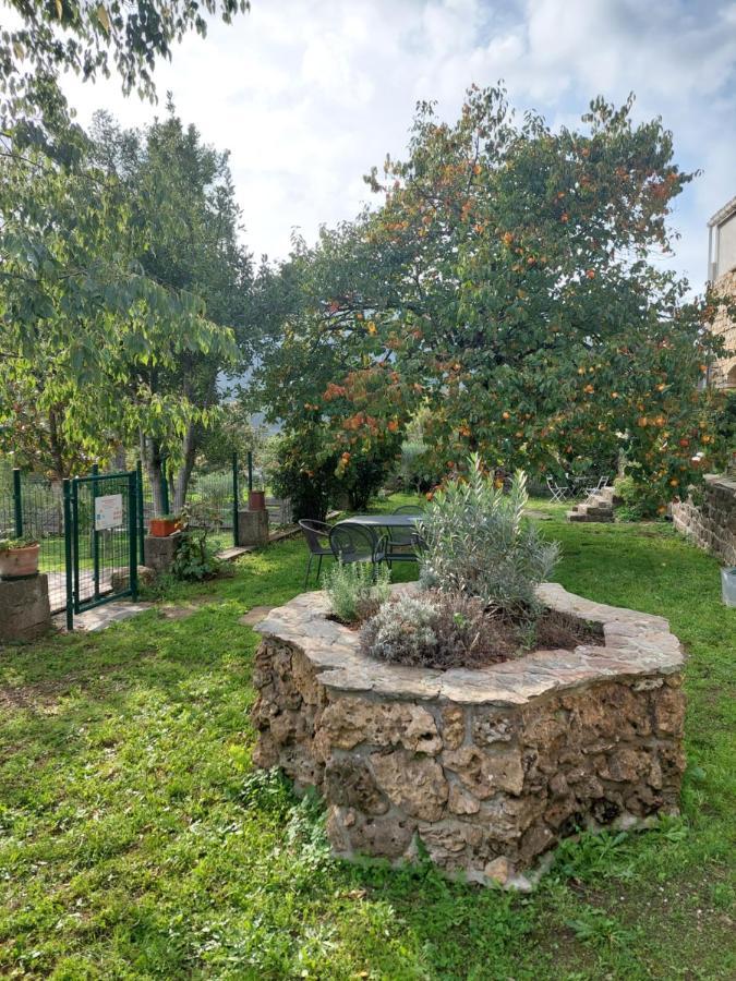 Le Mas Du Galibot Chambre Cambalotte Saint-Florent-sur-Auzonnet Exteriér fotografie